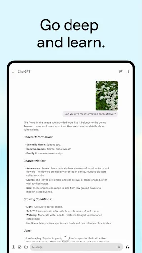 Baixar ChatGPT: Seu Assistente Inteligente e Gratuito - Screenshot 16