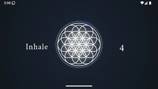 Just Breathe Now: Melhore Sua Saúde com Exercícios de Respiração - Screenshot 11