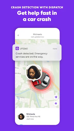 Baixe Life360: Localização Familiar e Segurança em Tempo Real - Screenshot 6