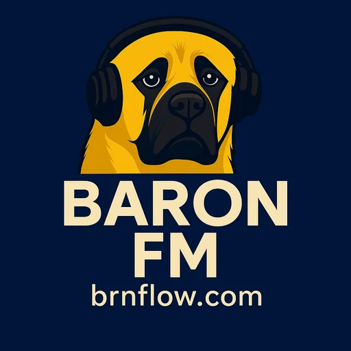 Baixar BaronFM: Rádio ao vivo e a rede BARON no seu Android