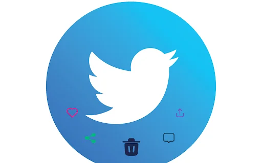 DeleteTweets: Exclua Tweets, Retweets e Curtidas em Massa Facilmente - Screenshot 2
