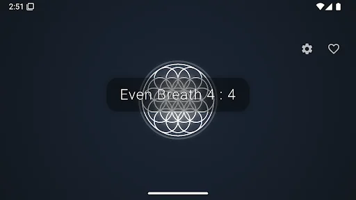 Just Breathe Now: Melhore Sua Saúde com Exercícios de Respiração - Screenshot 10