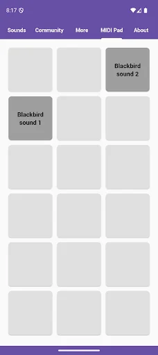 Baixar Blackbird Sounds – Melodias da Natureza para Relaxar Agora - Screenshot 5